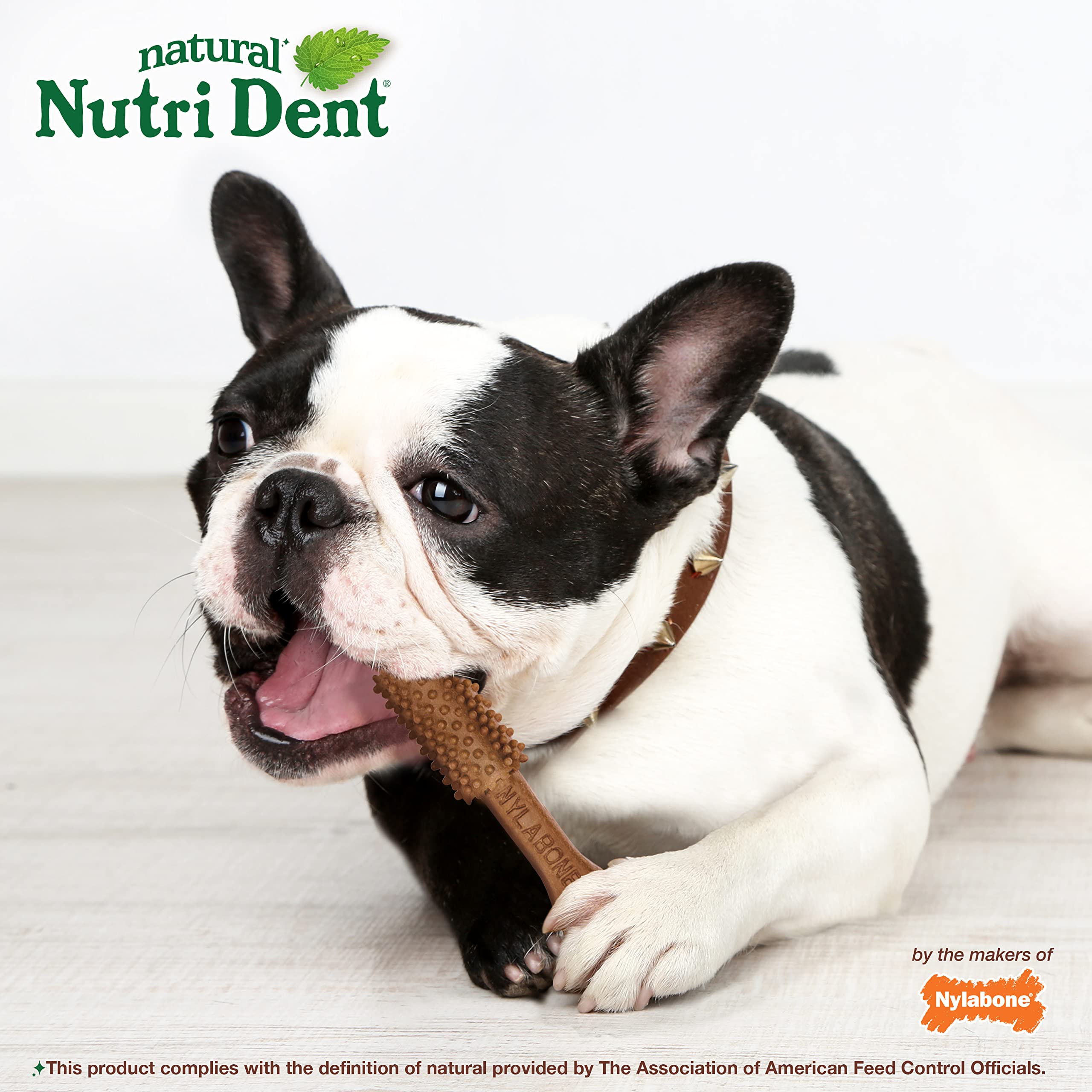 Nutri Dent filet mignon chew being chewed by a dog mid-chew.