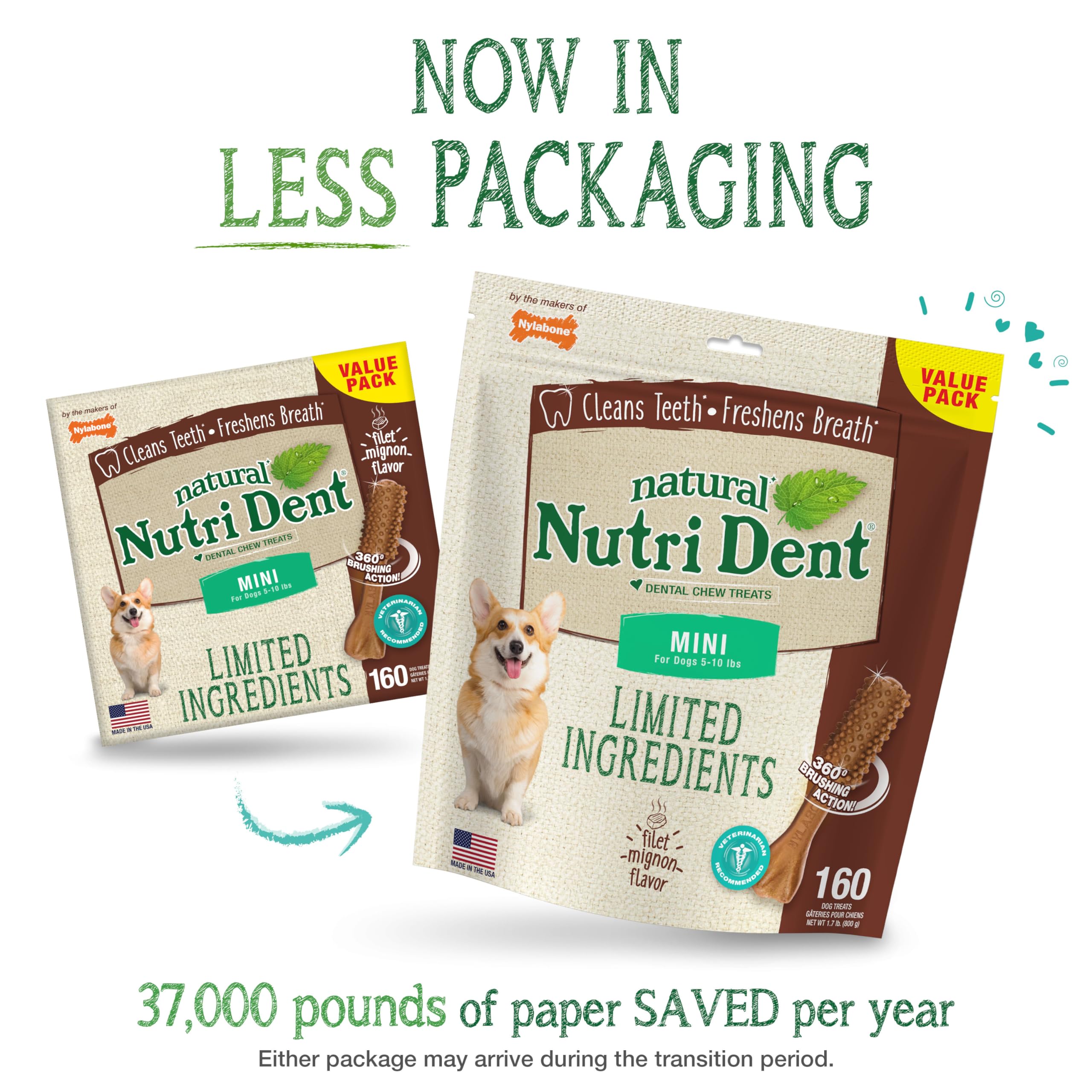 Nylabone Nutri Dent filet mignon flavor chew offers tasty dental care for dogs.