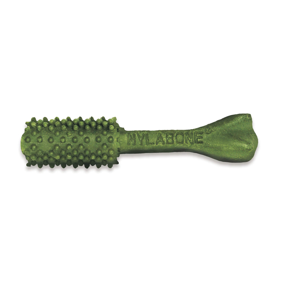 Nylabone Nutri Dent fresh-breath flavor label highlights taste