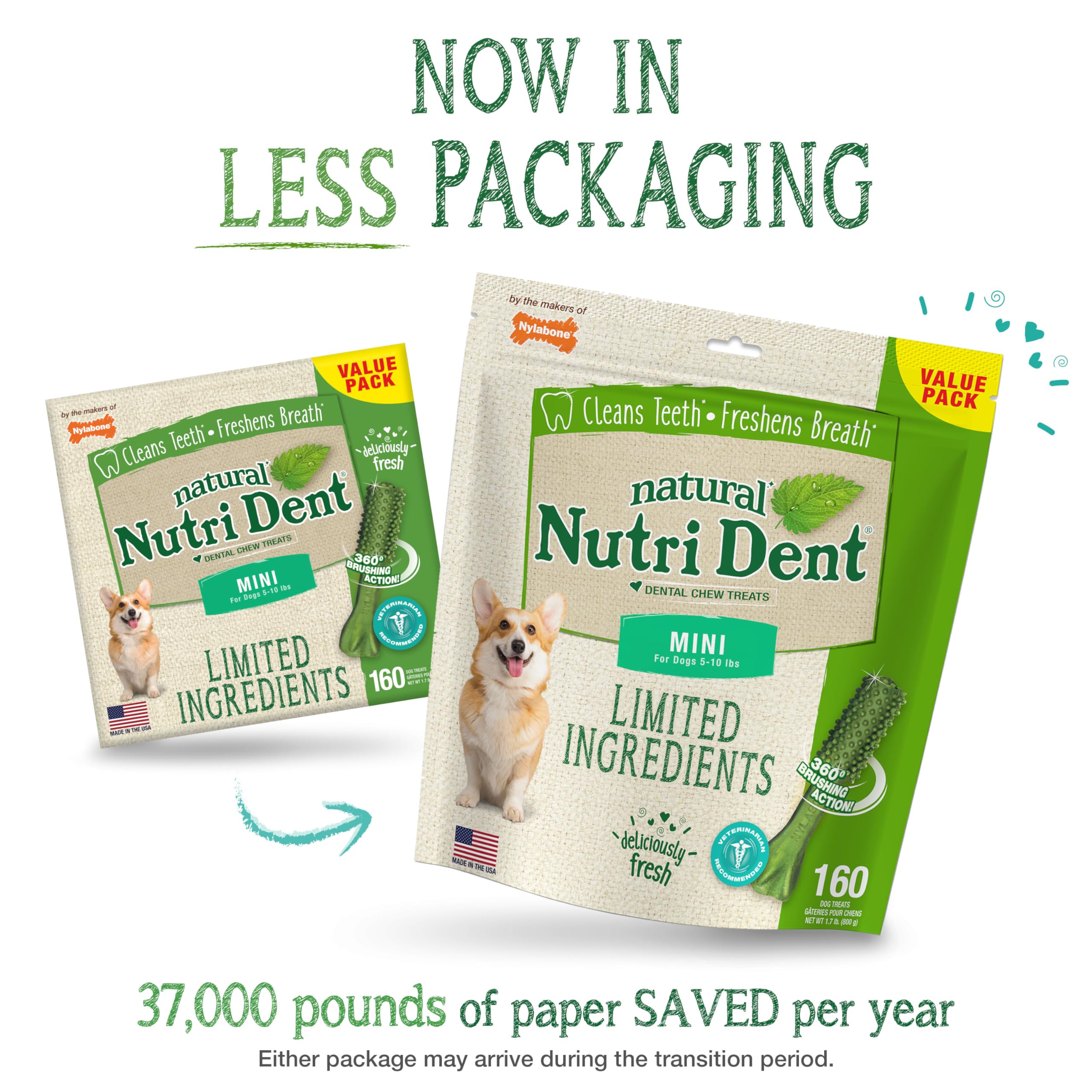 Nylabone Nutri Dent fresh breath flavor enjoyed during chew time