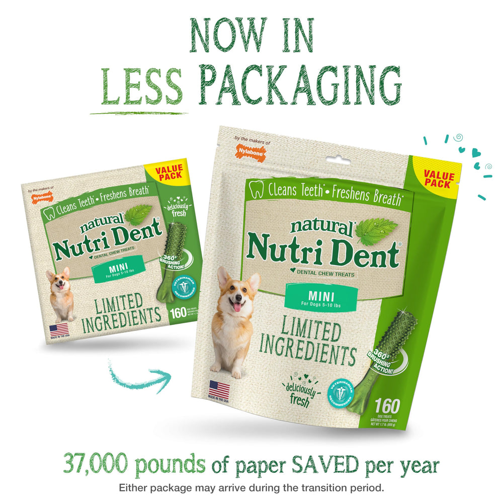 Nylabone Nutri Dent fresh breath flavor enjoyed during chew time