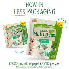 Nylabone Nutri Dent fresh breath flavor enjoyed during chew time