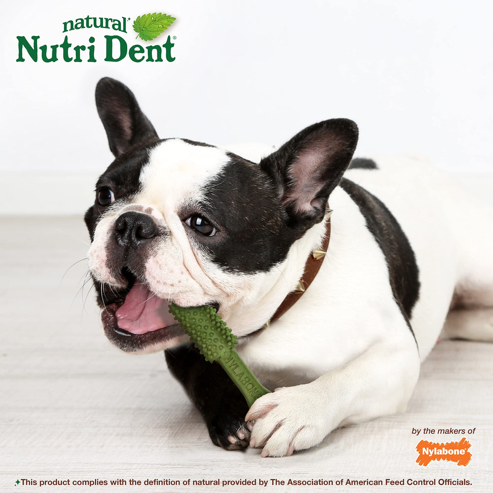 USA-made Nutri Dent chews reflect quality manufacturing.