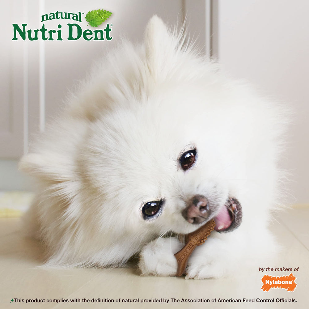 Nylabone Nutri Dent limited-ingredients formula shown on packaging