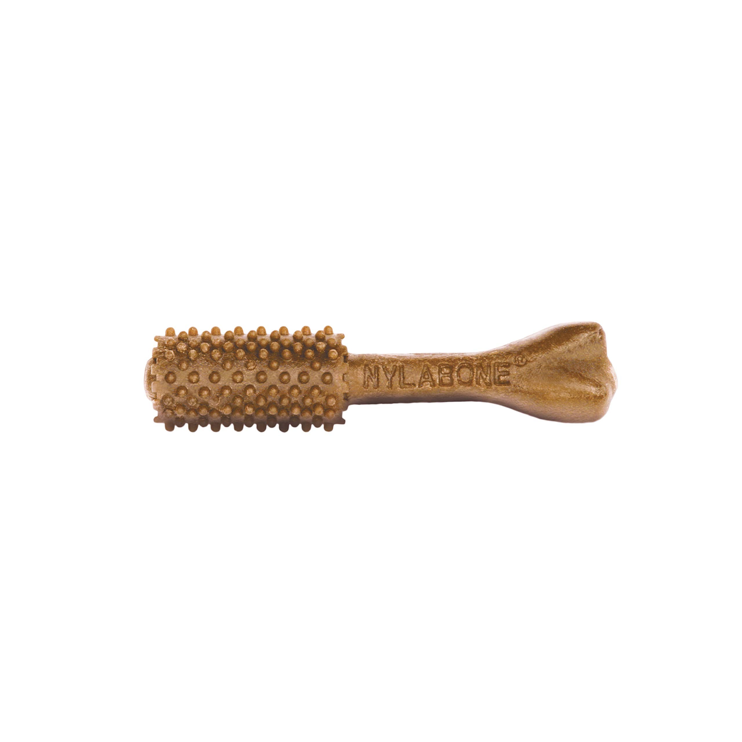 Nylabone Nutri Dent small filet mignon chew for dogs under 15 pounds