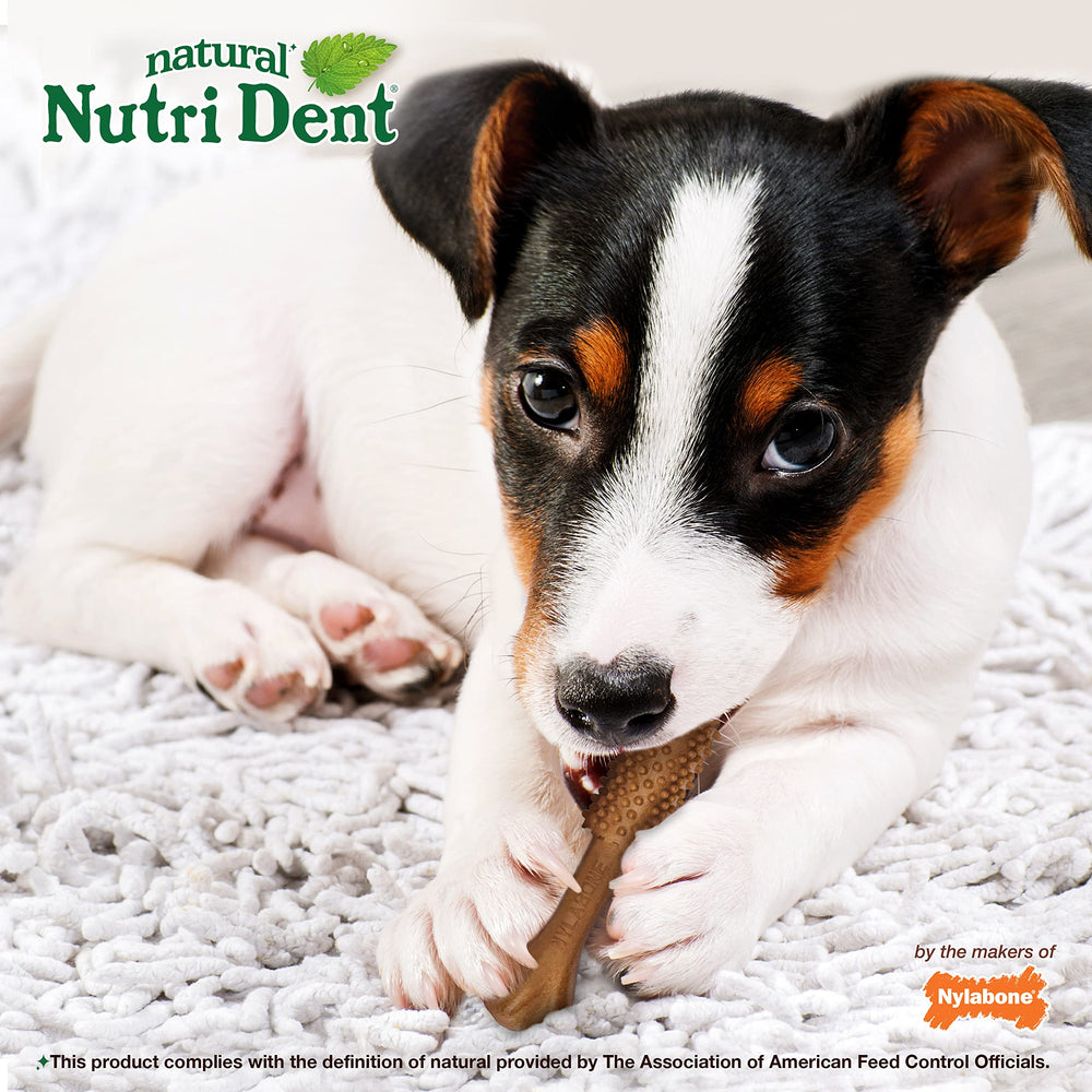 Nylabone Nutri Dent filet mignon chew with 360-degree cleaning nubs detail