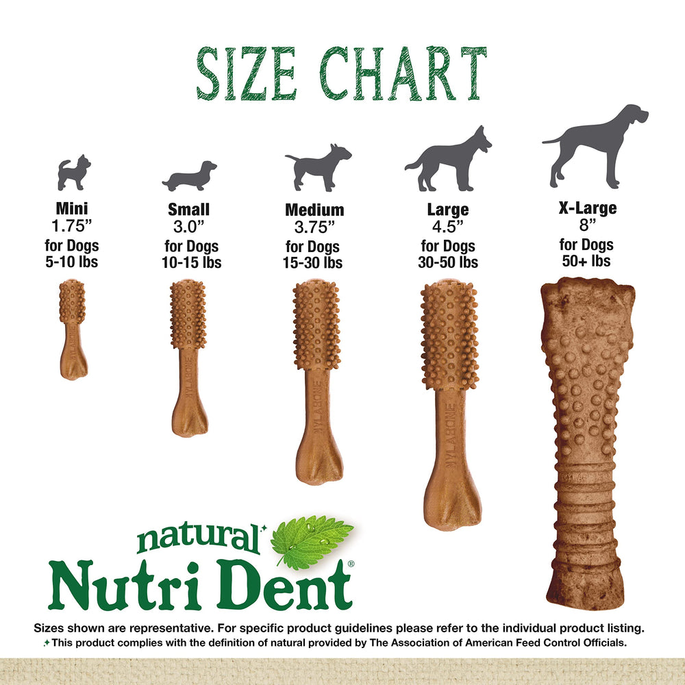 Nylabone Nutri Dent small filet mignon chew in a toy-friendly setting