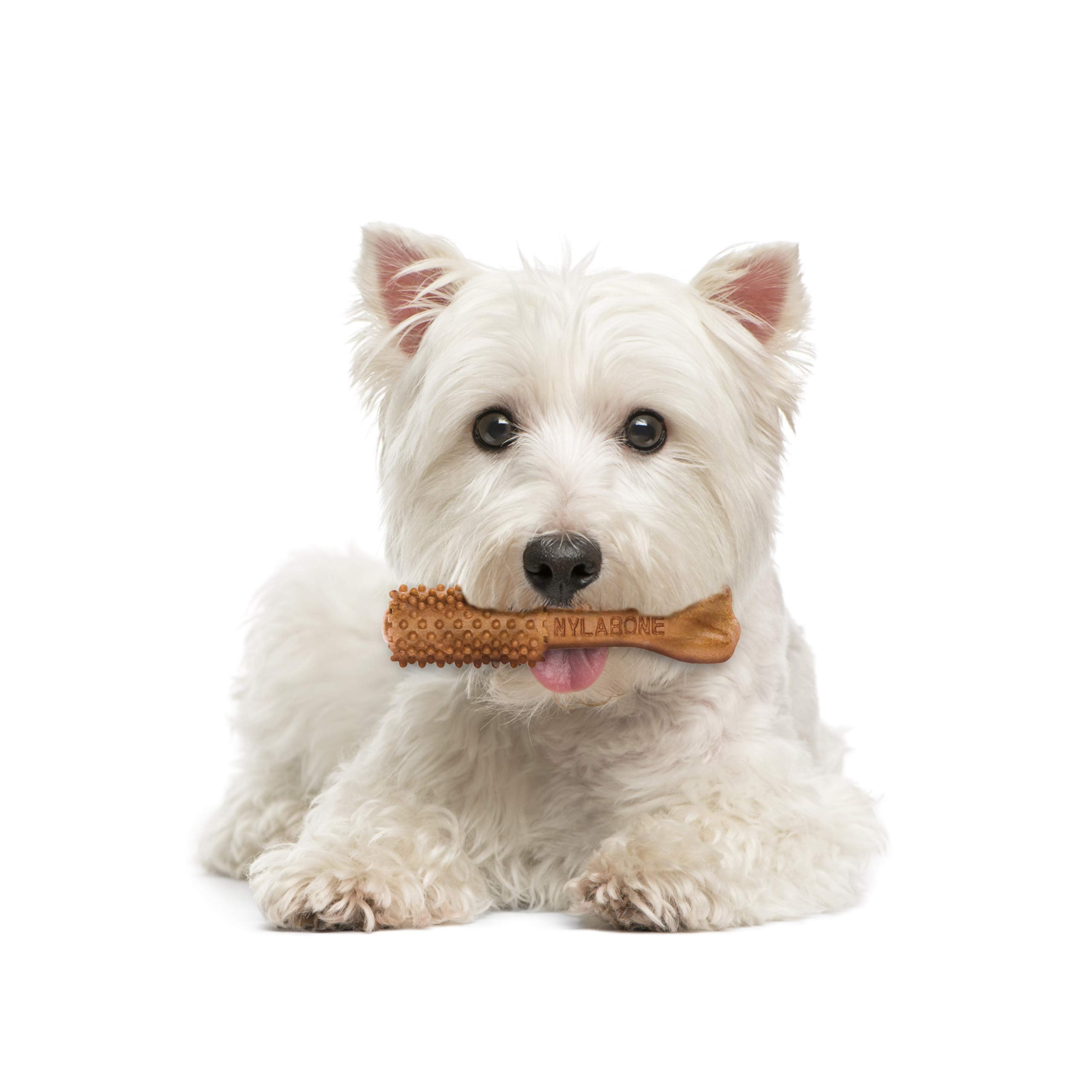 Nylabone Nutri Dent filet mignon chew designed for small breeds