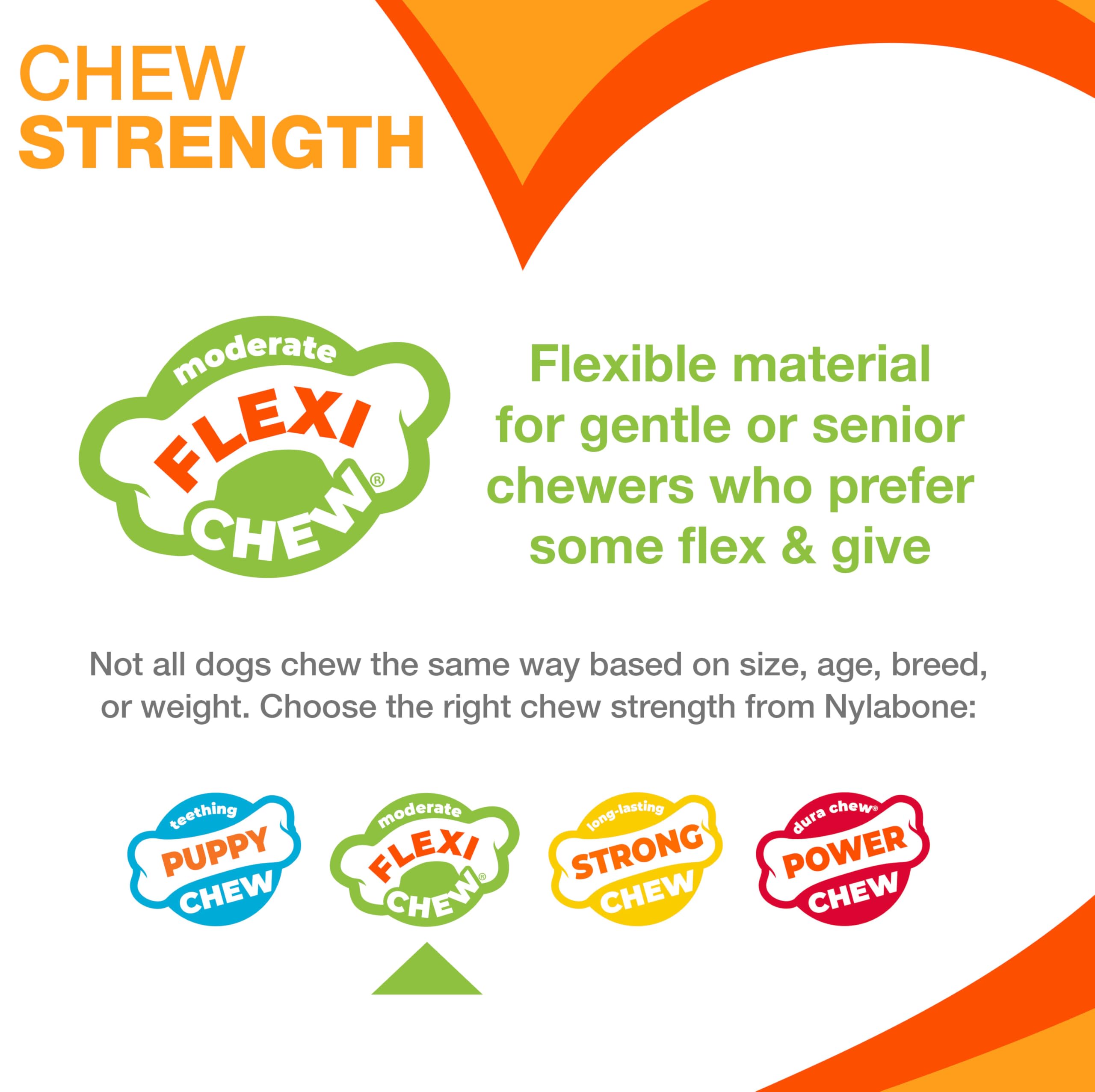 Nylabone Flexi 2-pack, durable options for everyday chewing fun