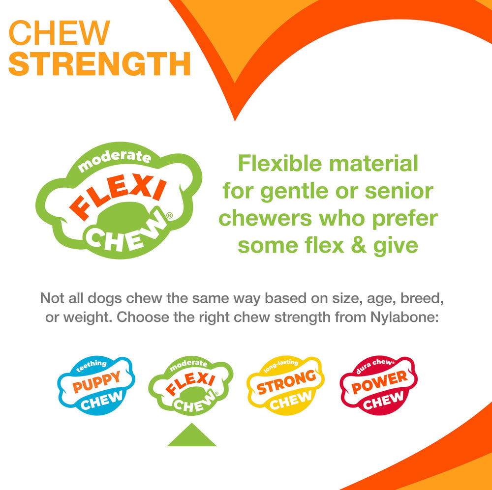 Nylabone Flexi 2-pack, durable options for everyday chewing fun
