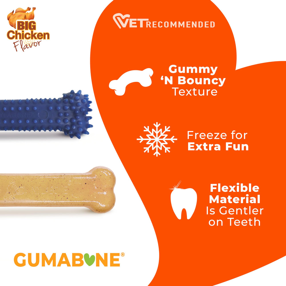 Nylabone Flexi bone, bouncy and chew-friendly for moderate chewers