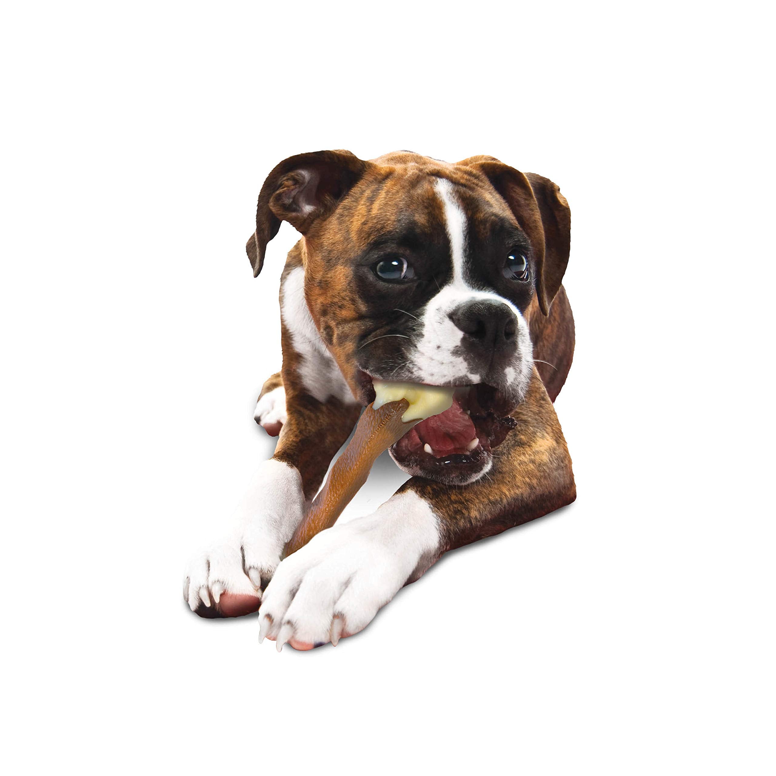 Nylabone packaging and brand logo displayed.