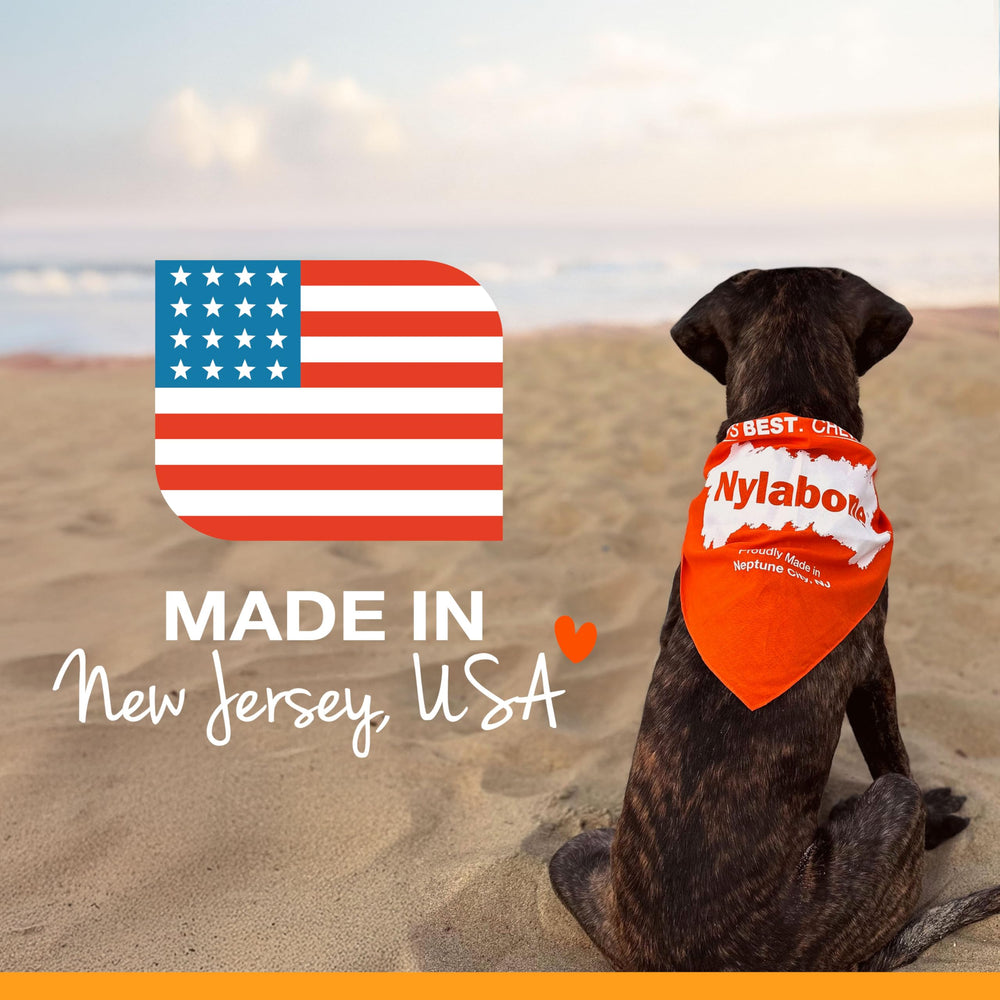 Nylabone Power Chew Antler Alternative ideal for at-home chew sessions.