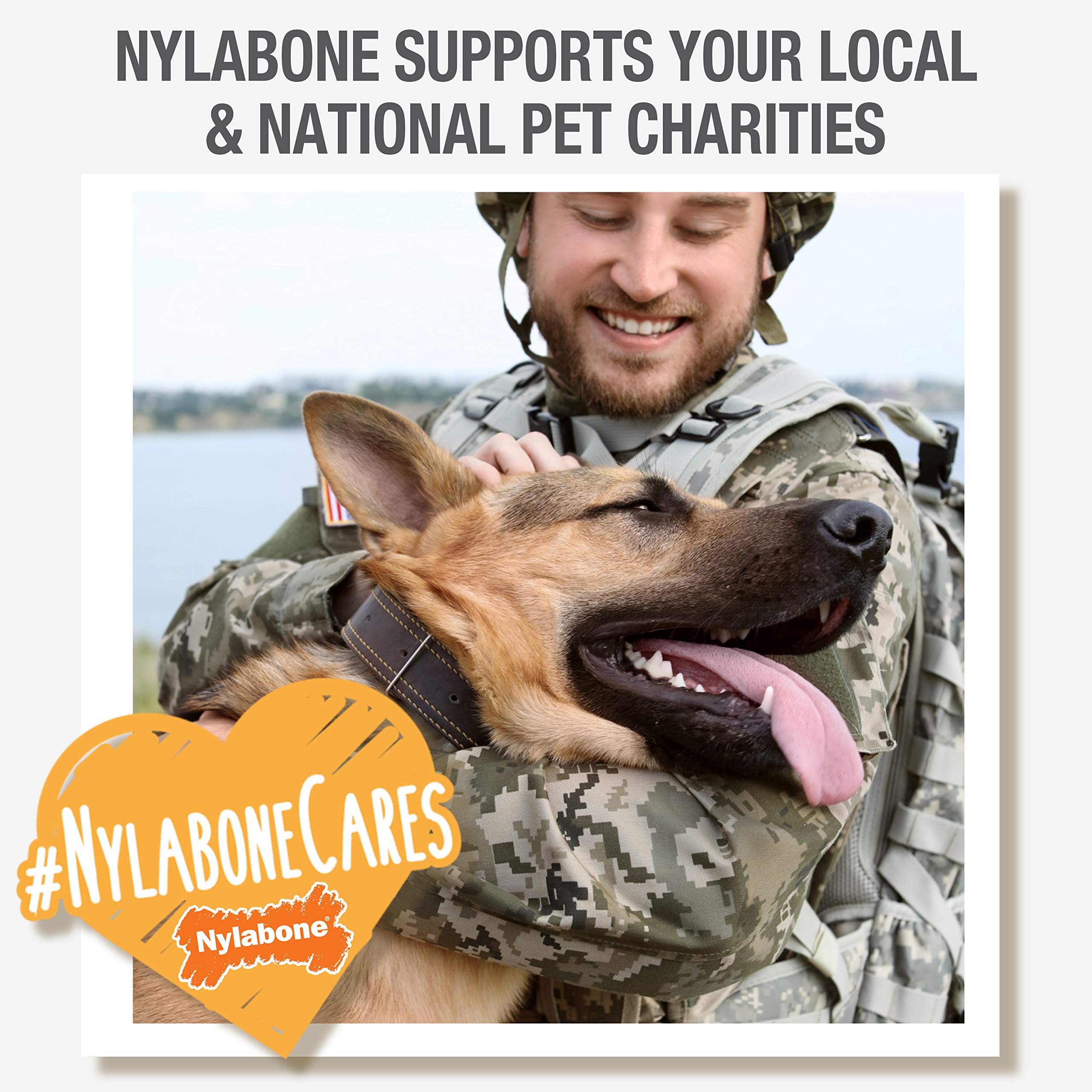 Nylabone Power Chew Antler Alternative keeps dogs occupied during play.