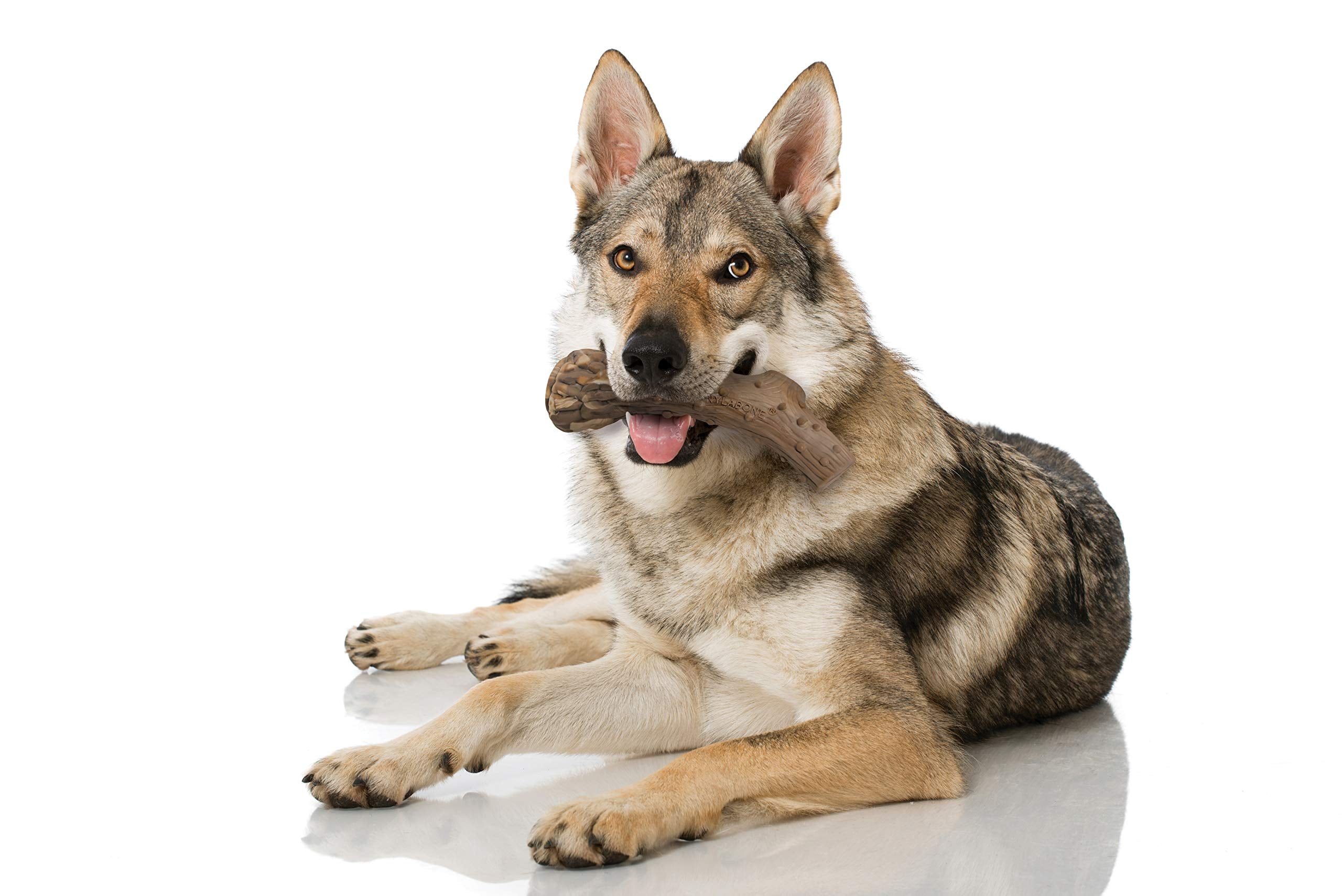 Nylabone Power Chew Antler Alternative textured surface for satisfying chewing sessions.