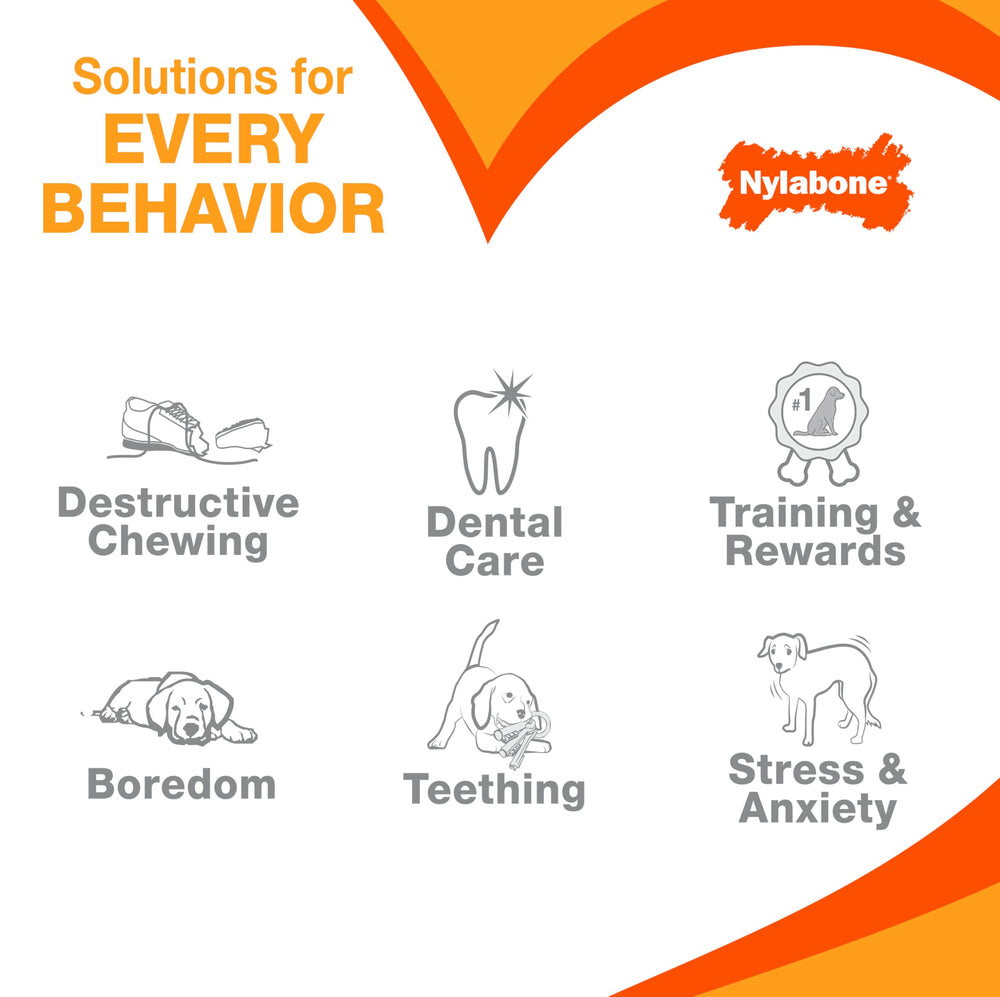 Nylabone Power Chew Bundle dog-teeth care action, chew session with varied textures.