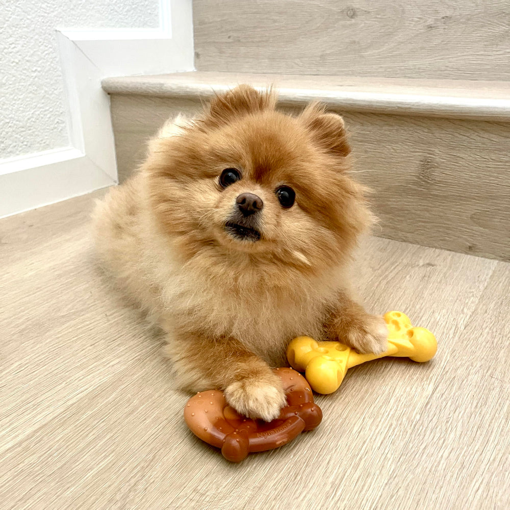 Nylabone Power Chew Bundle lobster chew toy arc view, three ends for extended chewing.