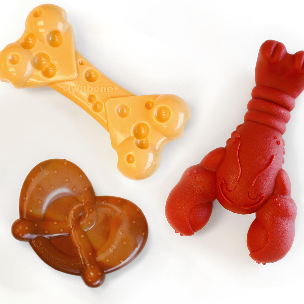 Nylabone Power Chew Bundle pretzel chew toy close-up, durable texture for small dogs.