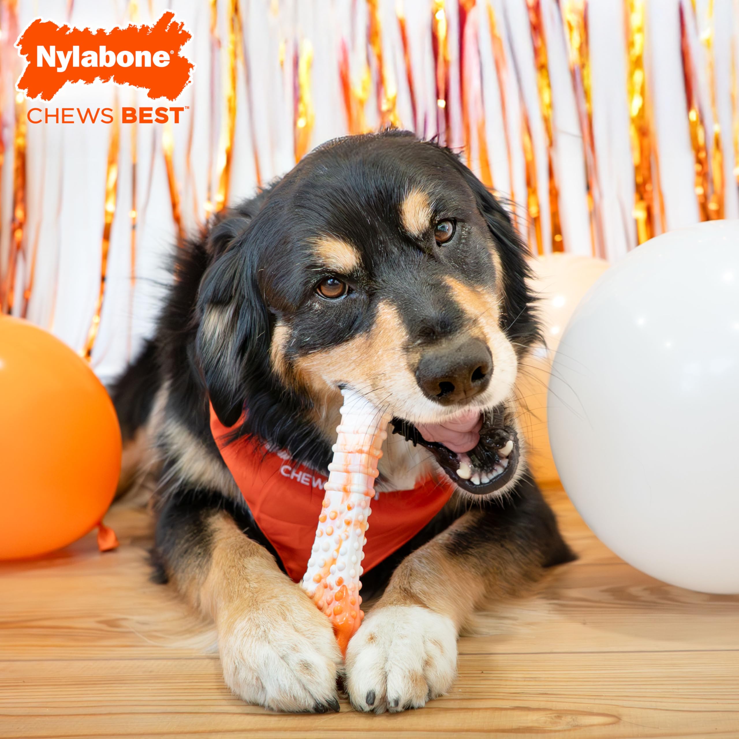 Nylabone Power Chew durable nylon texture close-up for aggressive chewers.