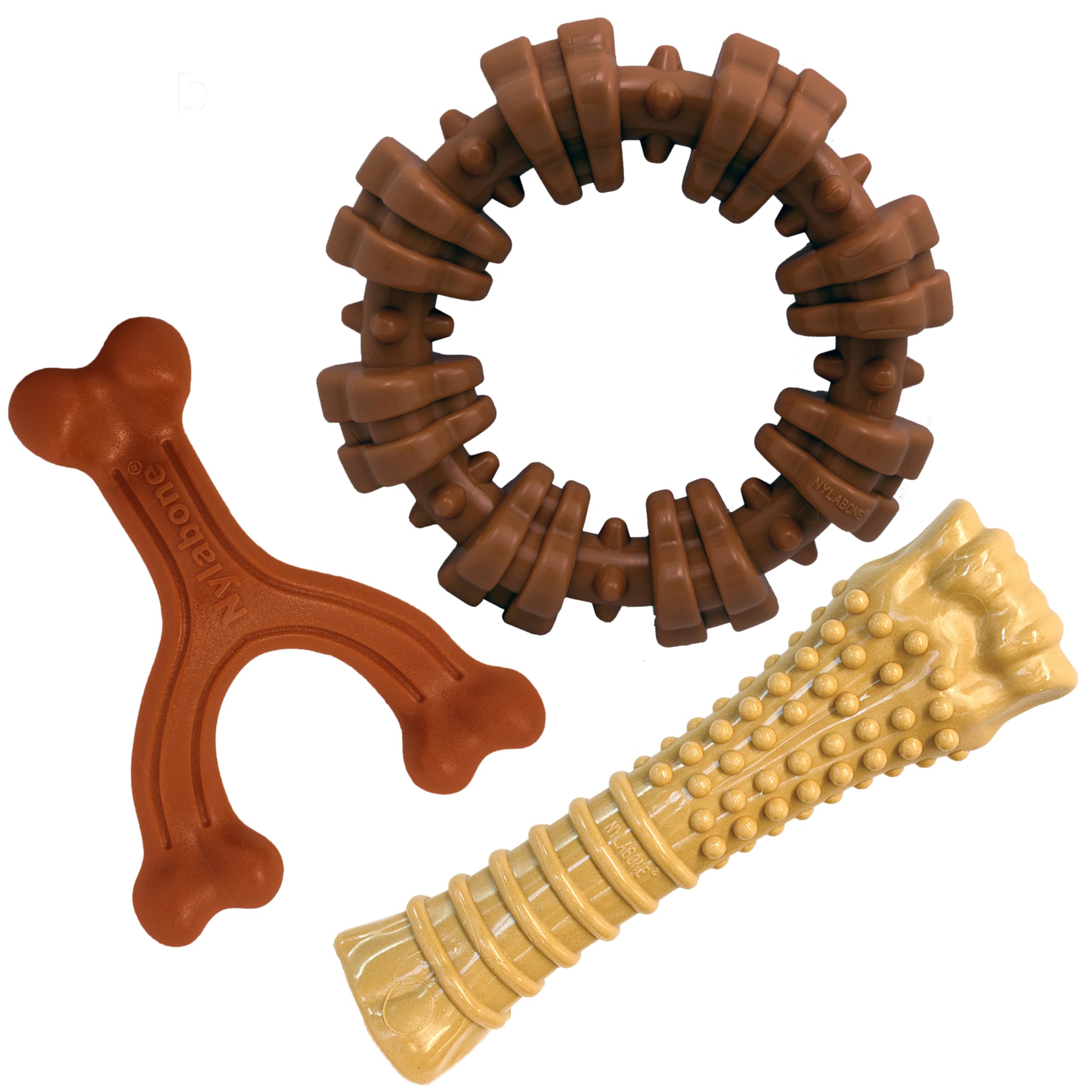 Nylabone Power Chew Ring with flavor medley for engaging play and dental care