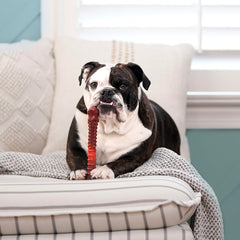 Nylabone Power Chew nylon core endures extreme chewing for large dogs