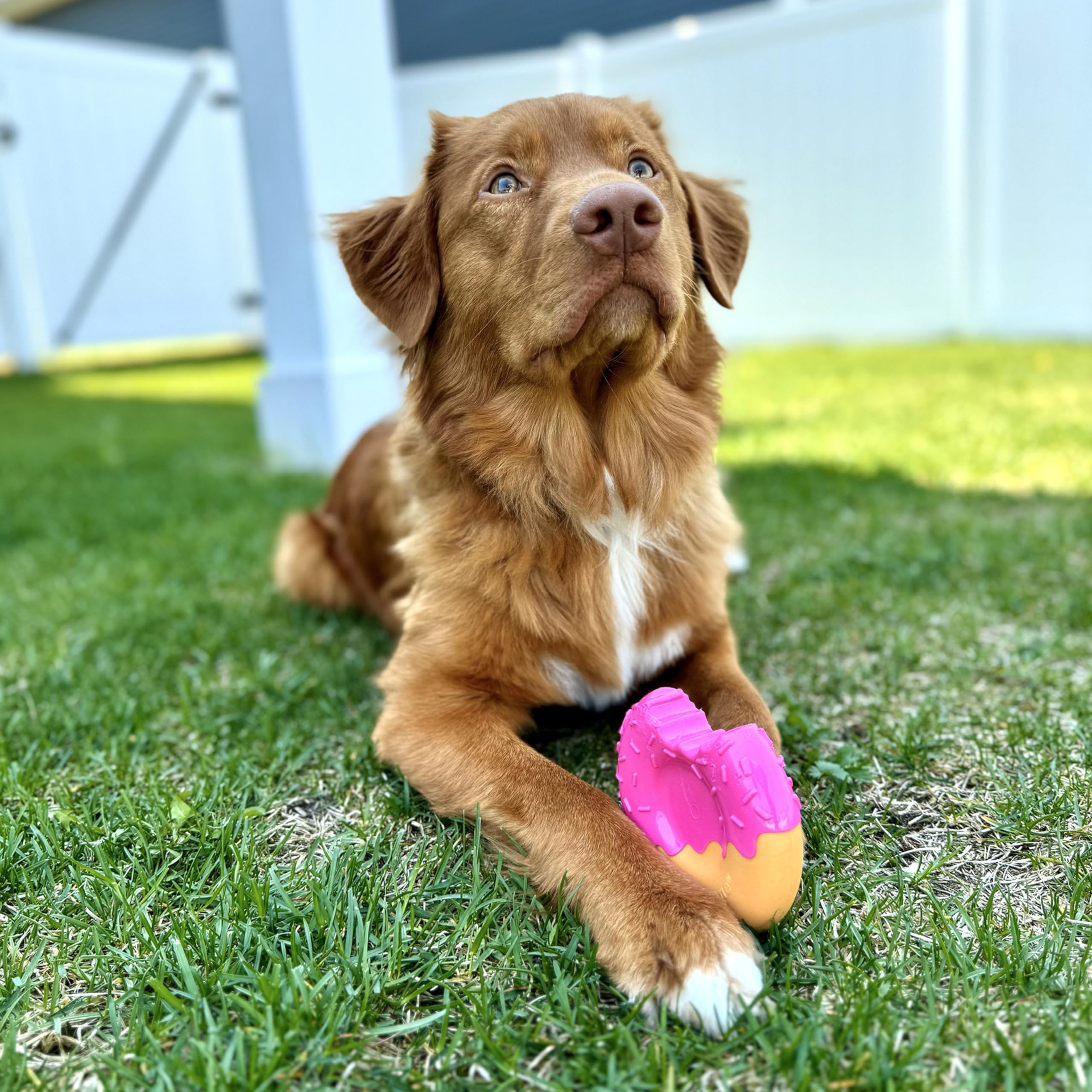 Nylabone Power Chew Bundle grooves and textures for tooth-friendly chewing