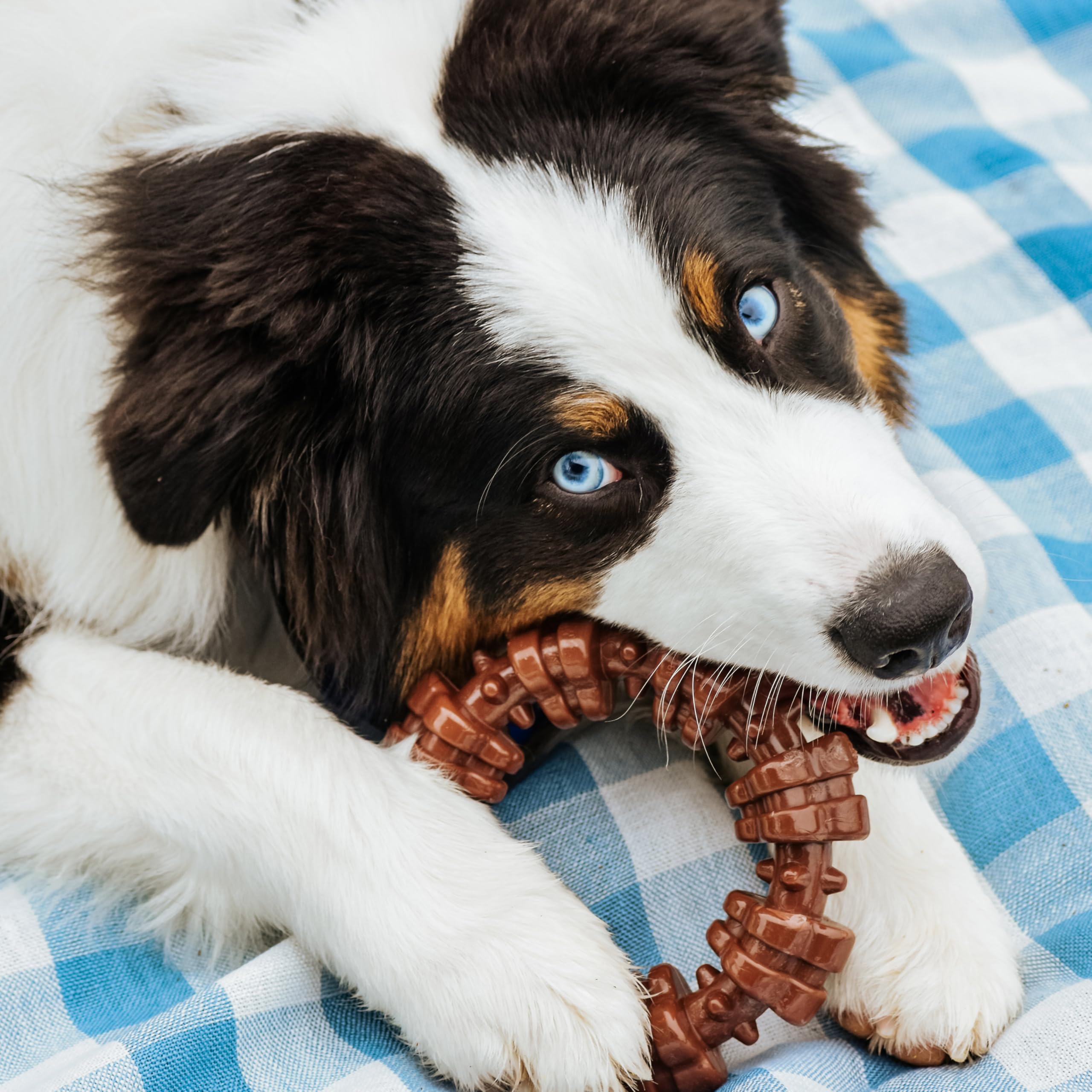 Flavor-infused chew toy for dogs with beef, bison, and peanut butter varieties