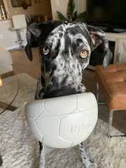 Nylabone Gripz ball bounces unpredictably to energize fetch