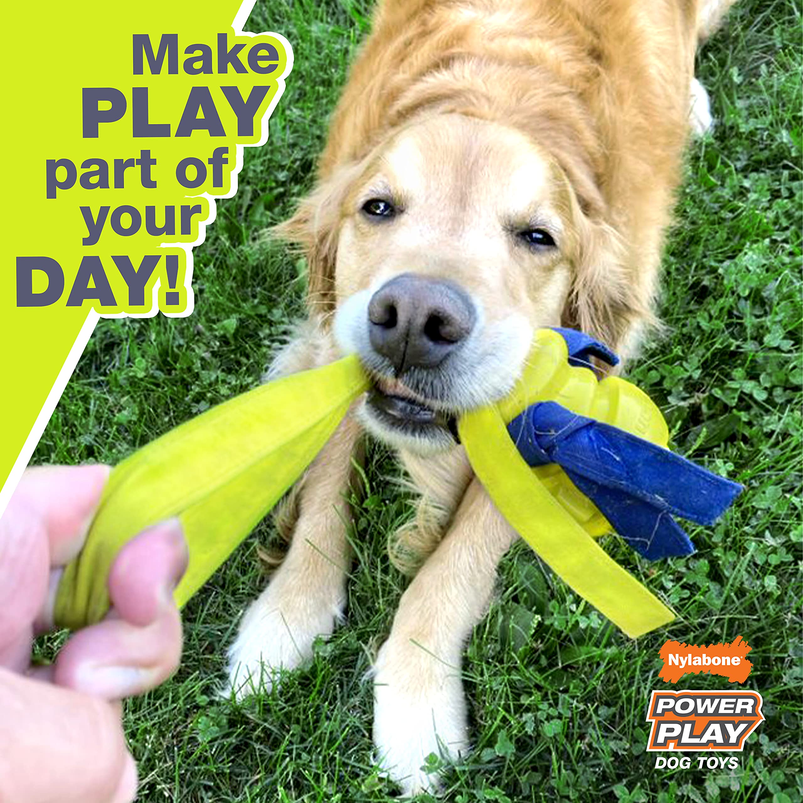 Squeaky feature enhances motivation during play with Gripz ball