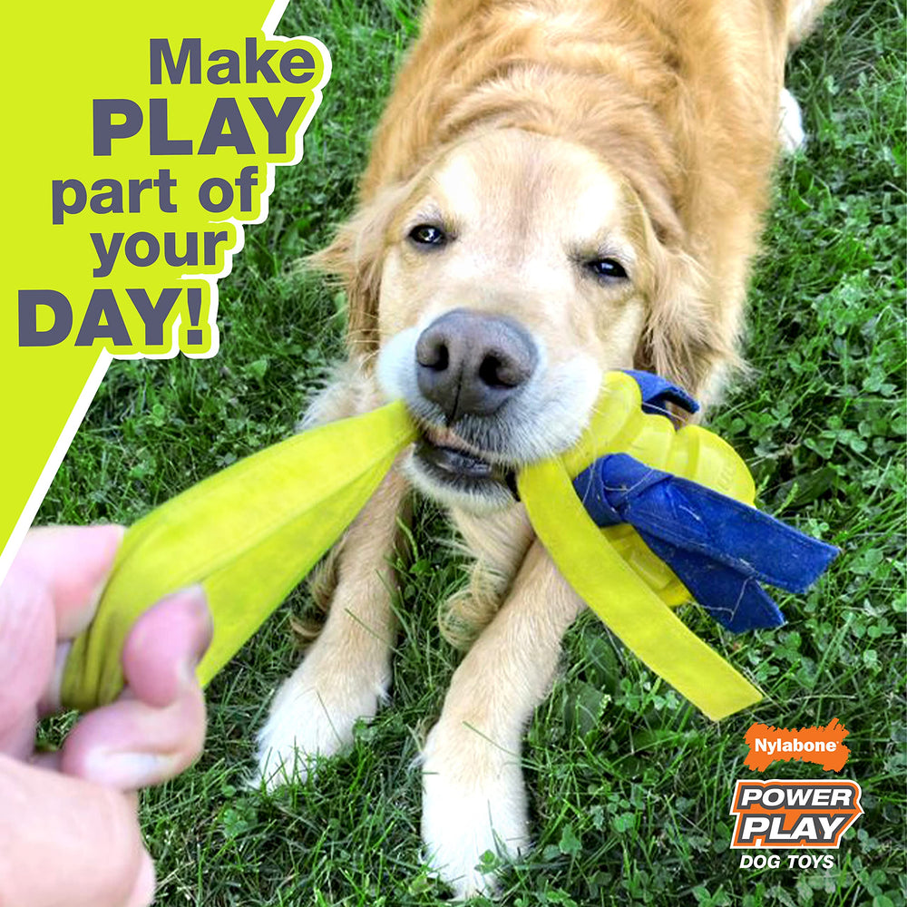 Squeaky feature enhances motivation during play with Gripz ball
