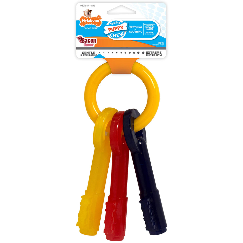Nylabone Puppy Chew Key Ring Toy promotes healthy chewing habits during development