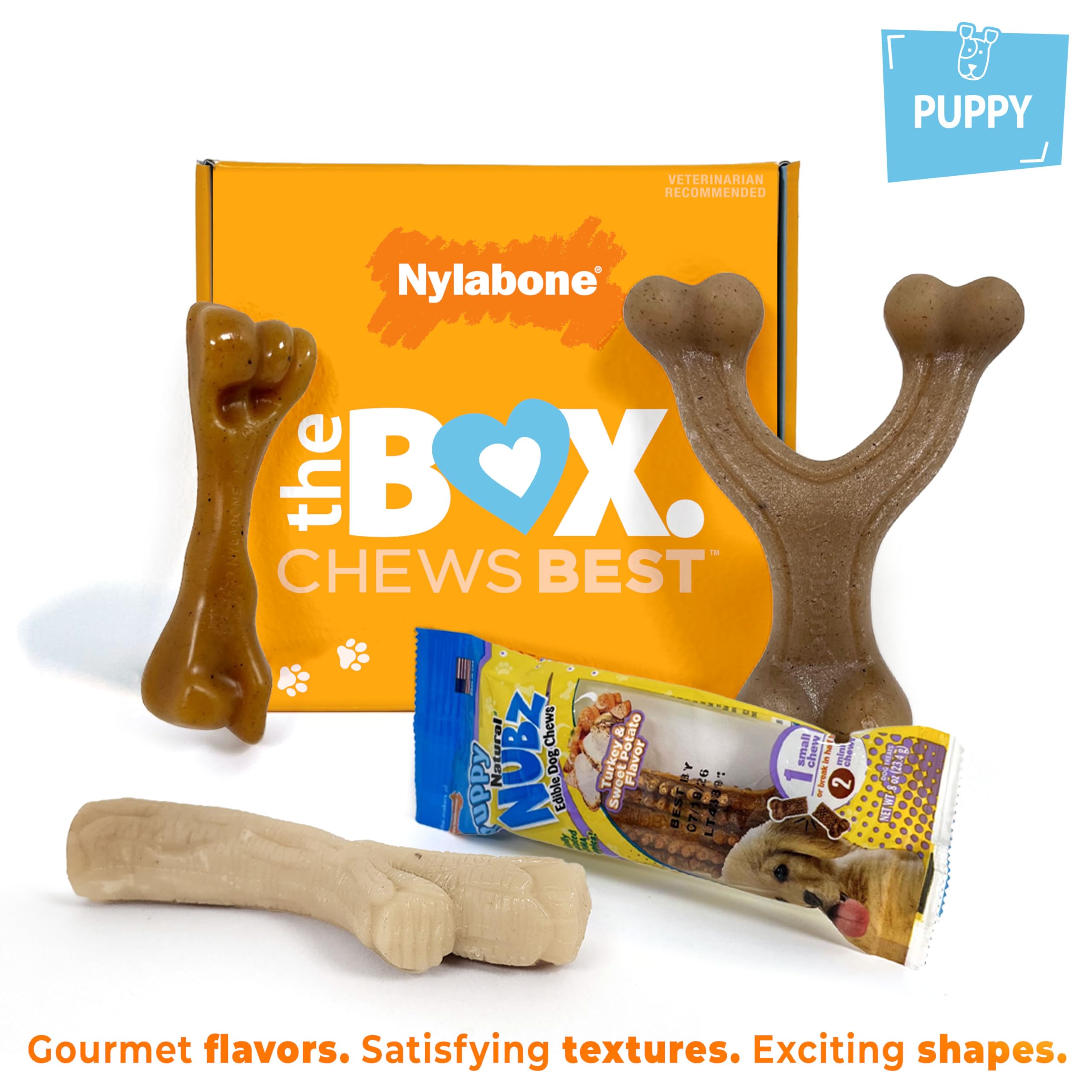 Nylabone Puppy Gift Box bone chew in authentic shape for varied chew play