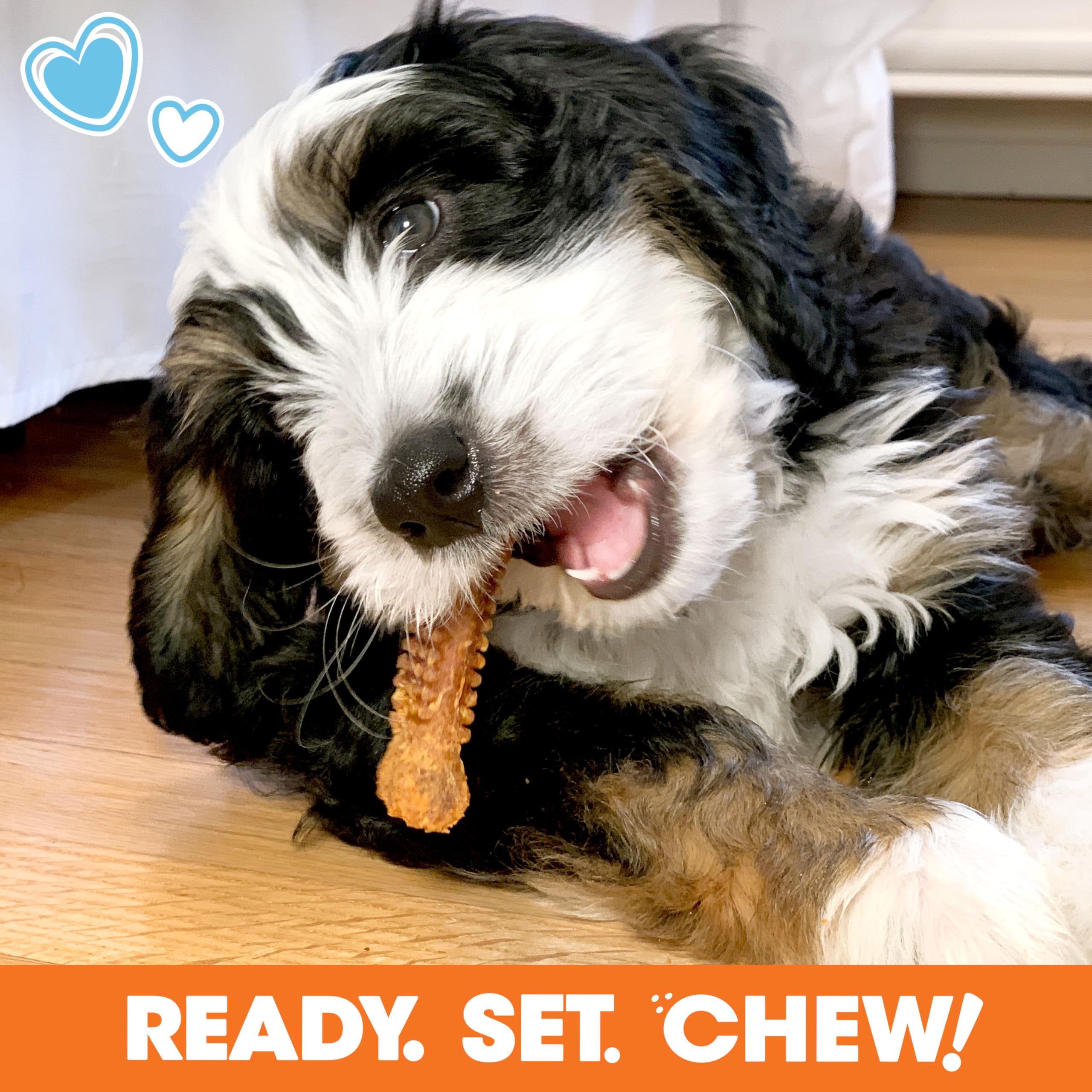 Nylabone Puppy Gift Box packaging highlights USA-made commitment