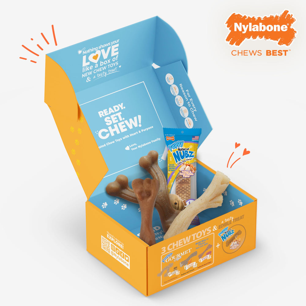 Nylabone Puppy Gift Box suitable for small breeds up to 25 lbs