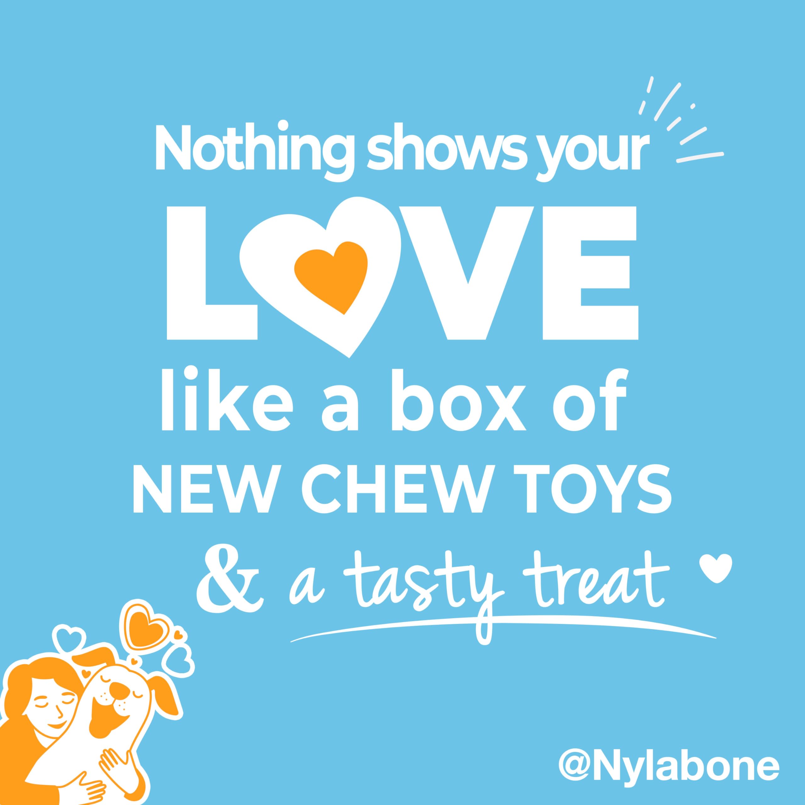Nylabone Puppy Gift Box turkey flavor Nubz treat highlights tasty rewards