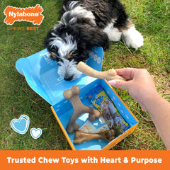 Nylabone Puppy Gift Box wishbone chew shown for ergonomic grip during chewing