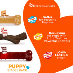 Nylabone Puppy Stages beef jerky Power Chew toy offering long-lasting flavor and strong chews