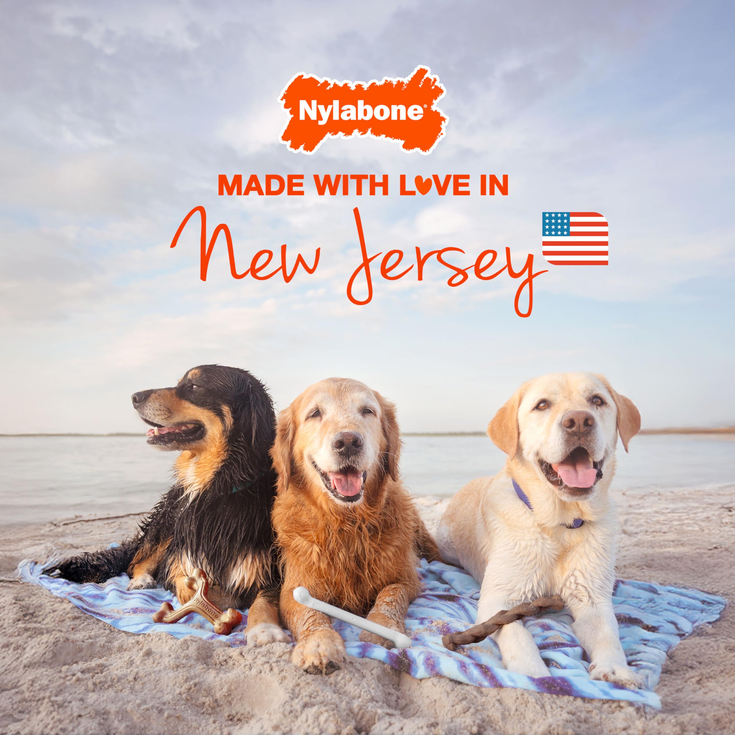 Nylabone trio of flavors displayed in a set for puppies