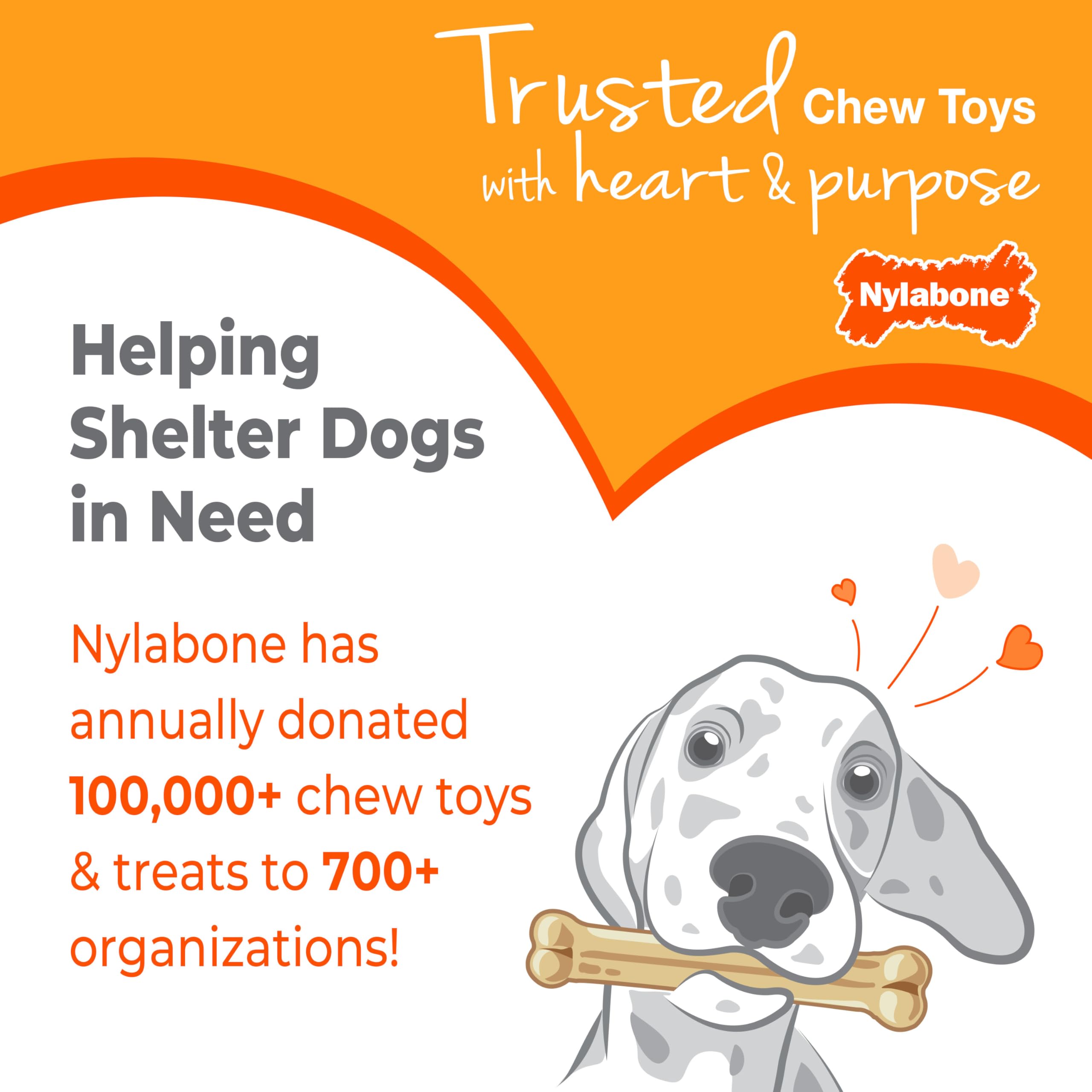 Nylabone Puppy Stages up to 35 pounds label shown