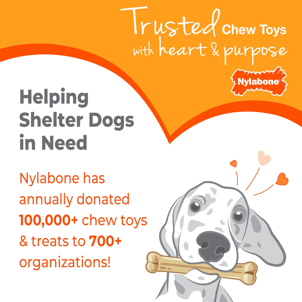 Nylabone Puppy Stages up to 35 pounds label shown