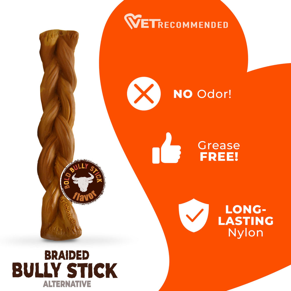 Nylabone roasted chicken flavor chew for extended playtime
