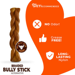 Nylabone roasted chicken flavor chew for extended playtime