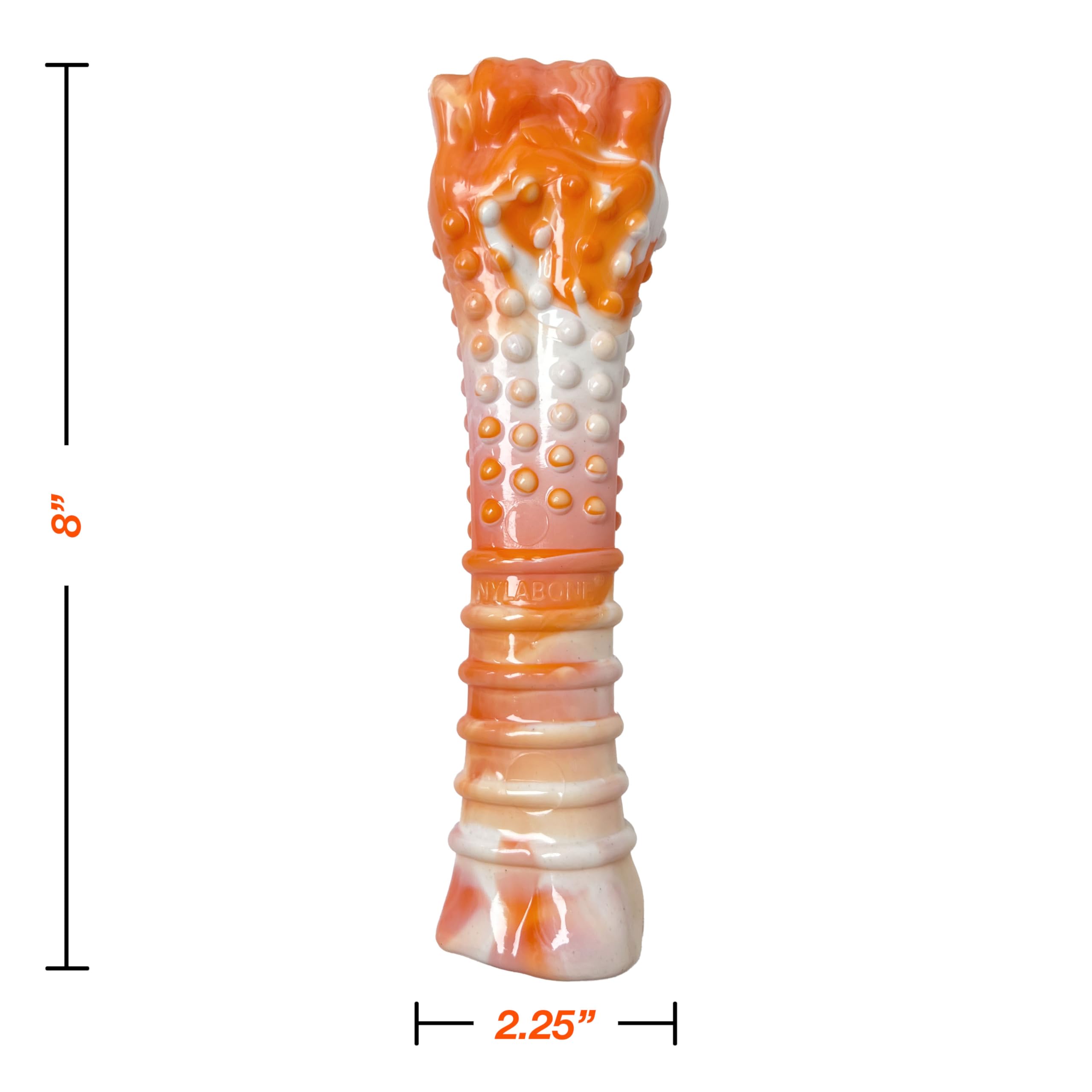 Nylabone textured knuckle bone close-up highlighting chewers-friendly texture.