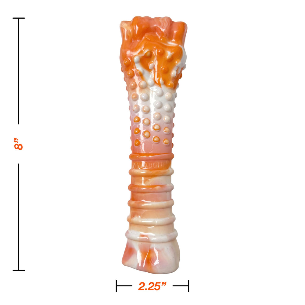 Nylabone textured knuckle bone close-up highlighting chewers-friendly texture.