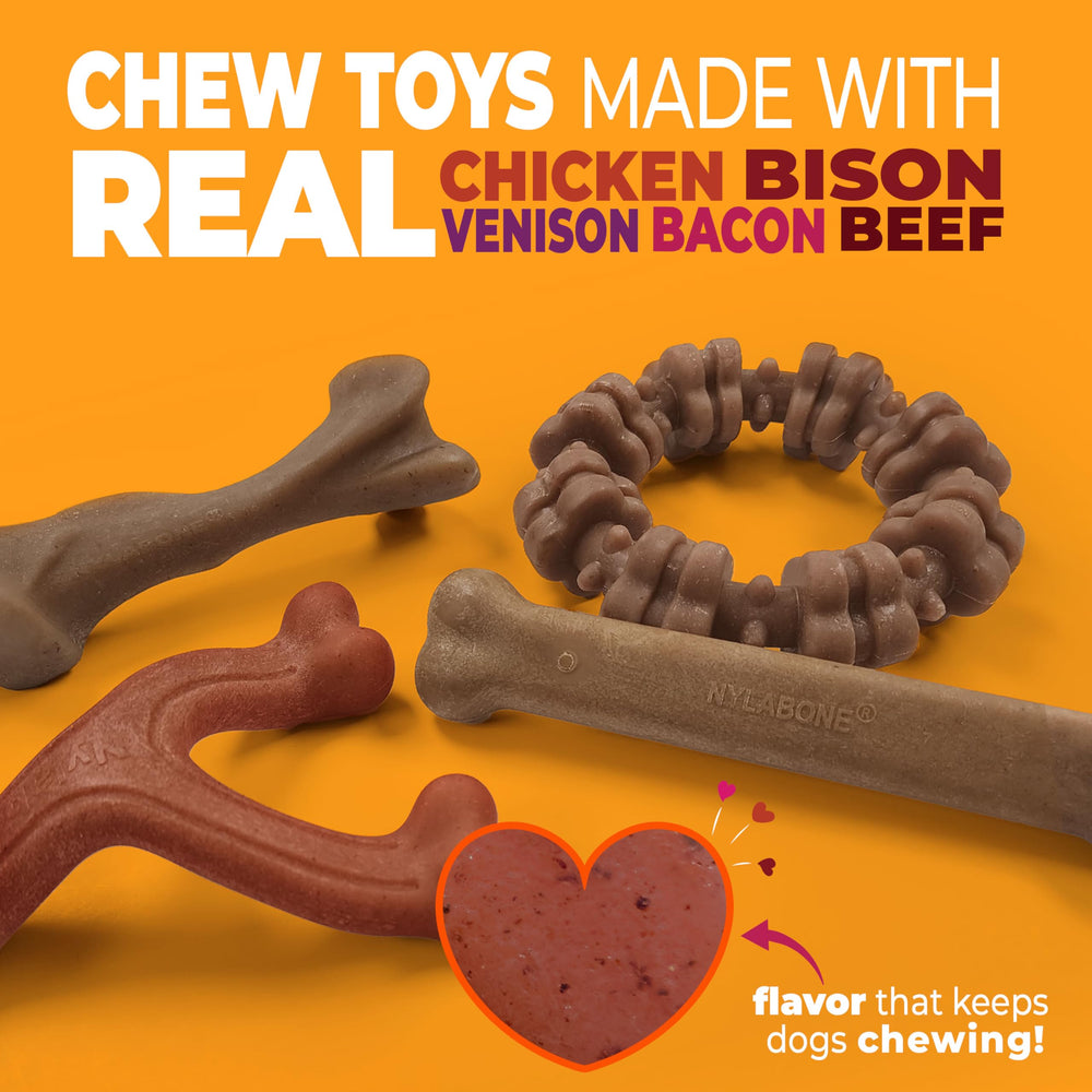 Nylabone textured ring toy with ridges for teeth cleaning during chew sessions