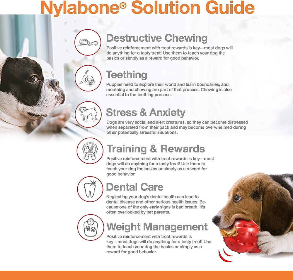 Nylabone textured surface promotes oral cleaning as dogs chew.