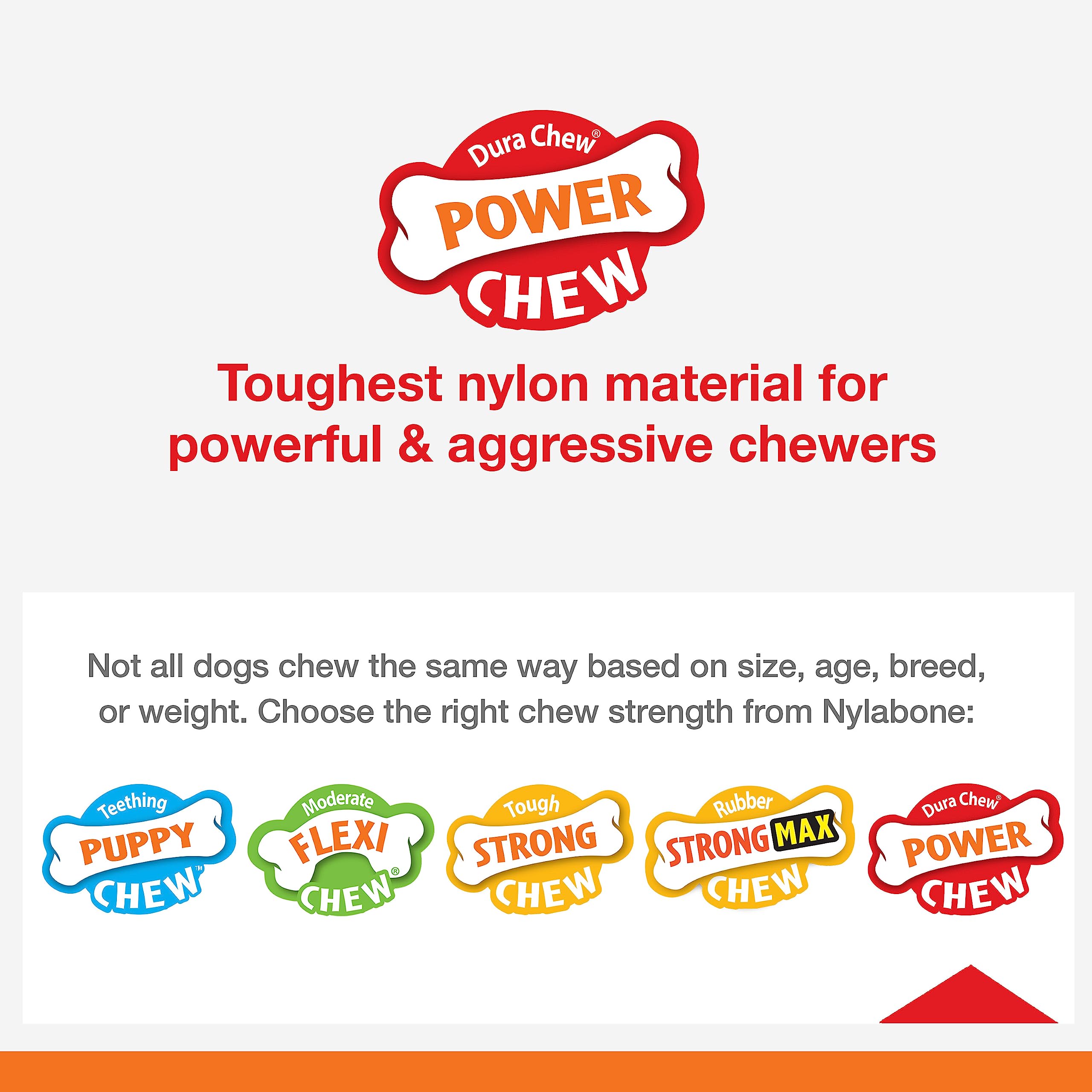 Nylabone Treat Toy Bundle combines chew and treat enrichment