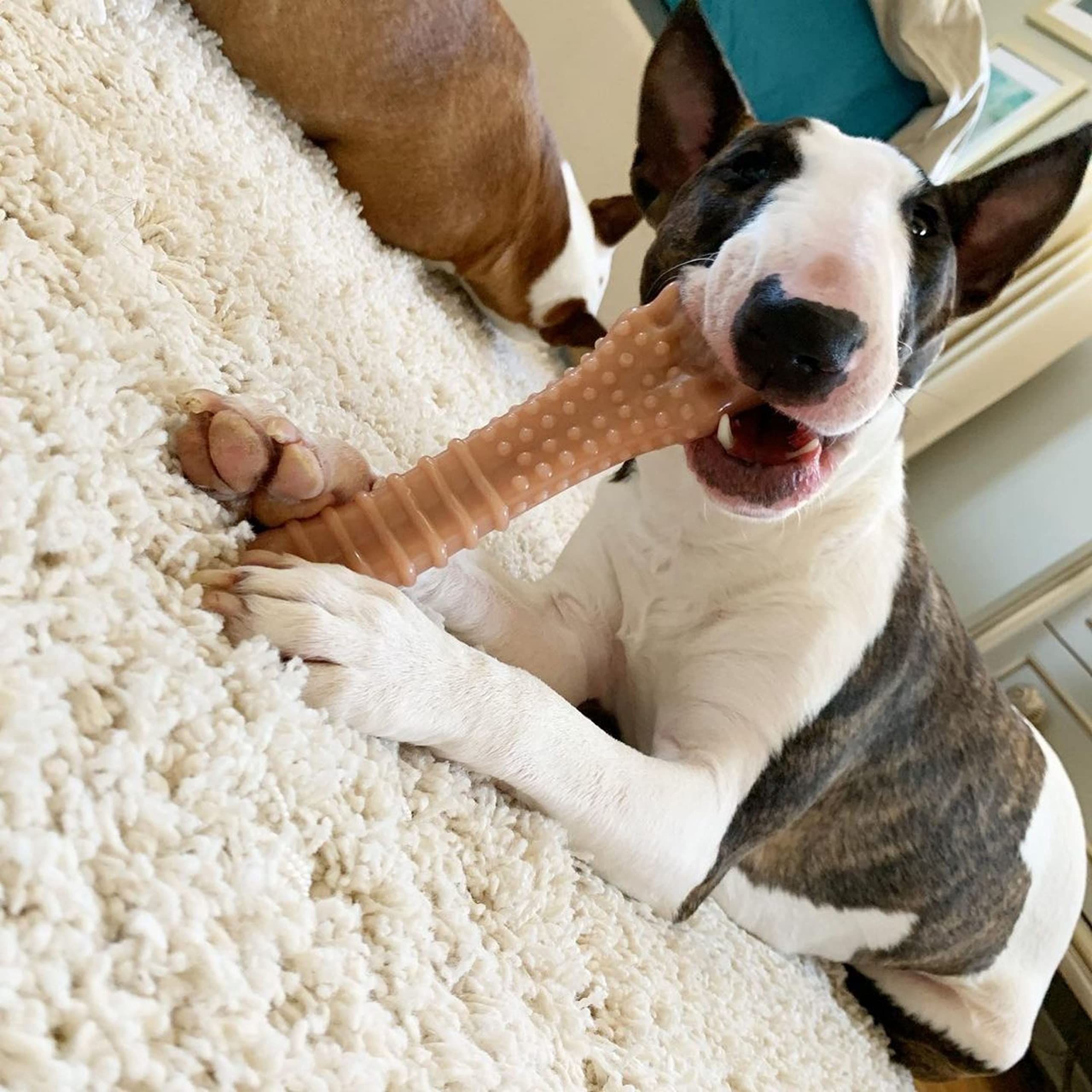 Close-up of US-made durable nylon construction on Nylabone toy
