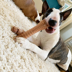 Close-up of US-made durable nylon construction on Nylabone toy