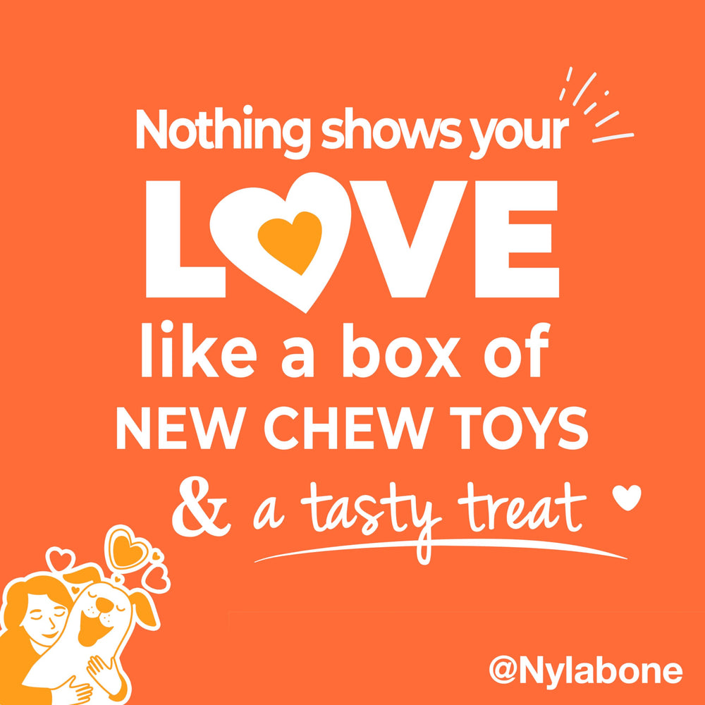 Nylabone USA-made chews ensure quality and safety.